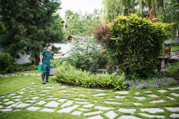 Best Pest Prevention Services  in Halifax, VA