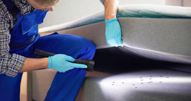 Professional Pest Control in Halifax, VA