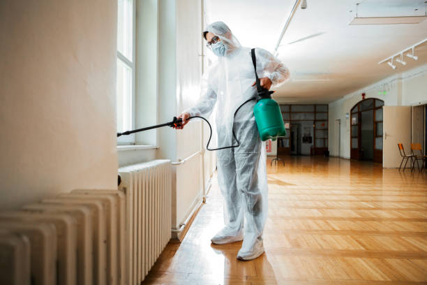 Best Insect Control  in Halifax, VA