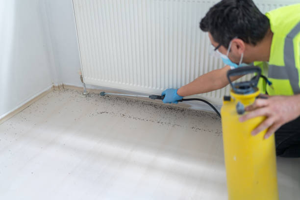Best Emergency Pest Control  in Halifax, VA